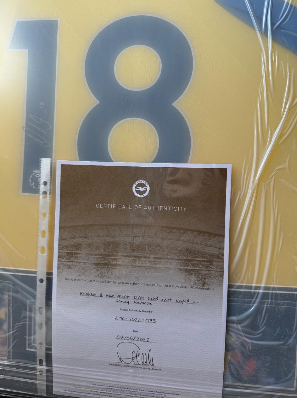Danny Welbeck Brighton Signed Shirt Framed *PLAYER ISSUED* *RARE* CLUB COA