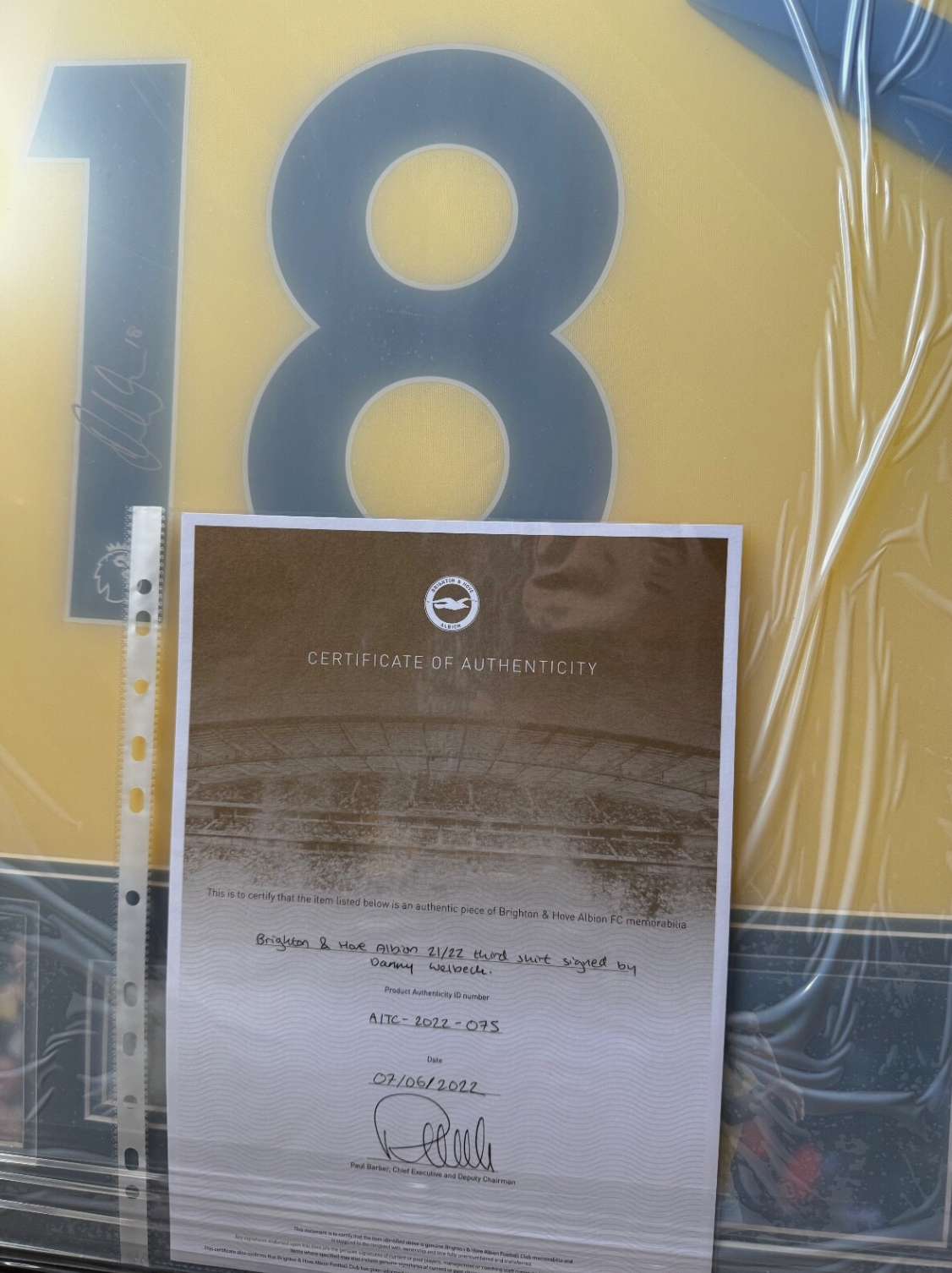 Danny Welbeck Brighton Signed Shirt Framed *PLAYER ISSUED* *RARE* CLUB COA